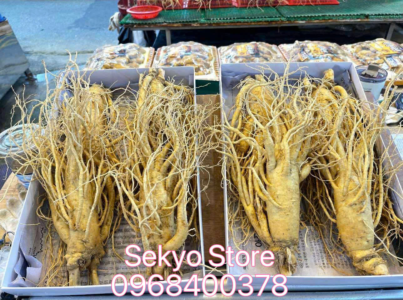 Sâm tươi Hàn Quốc thực tế - Hình 1