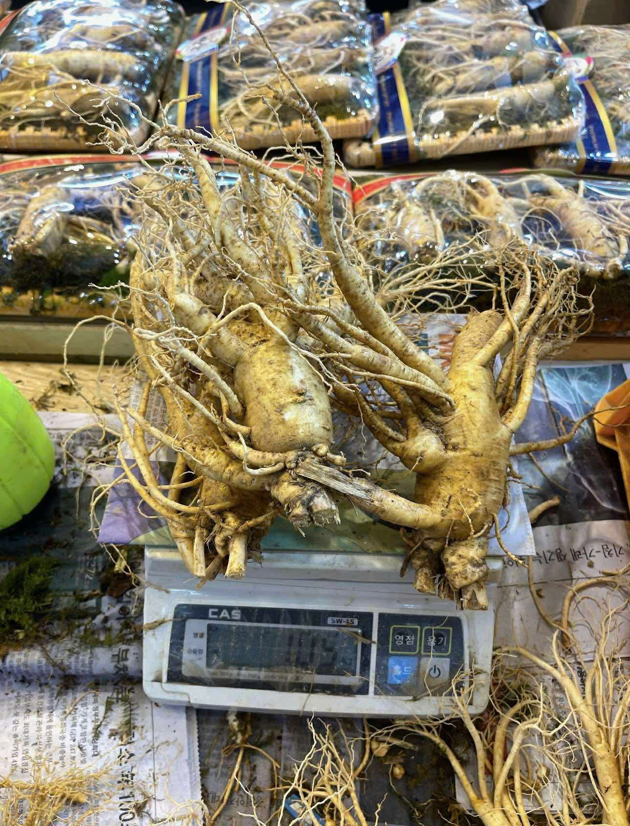 Sâm tươi Hàn Quốc thực tế - Hình 10