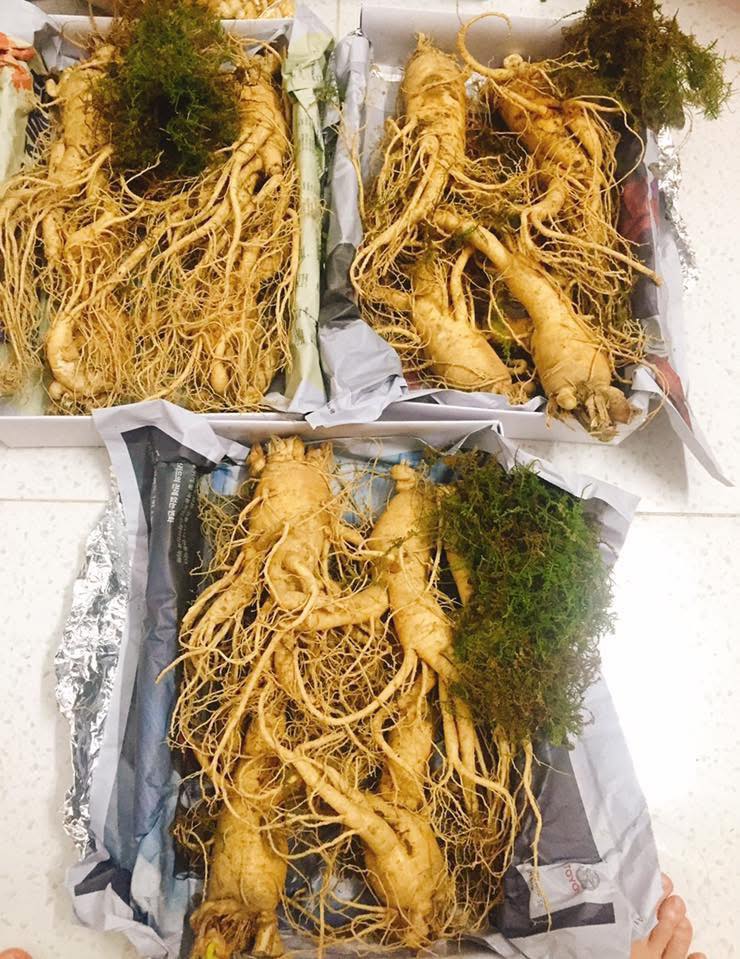 Sâm tươi Hàn Quốc thực tế - Hình 12