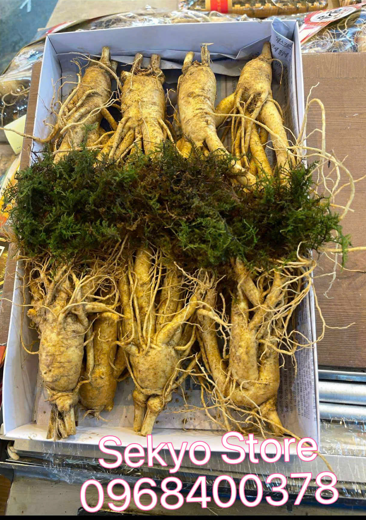 Sâm tươi Hàn Quốc thực tế - Hình 3