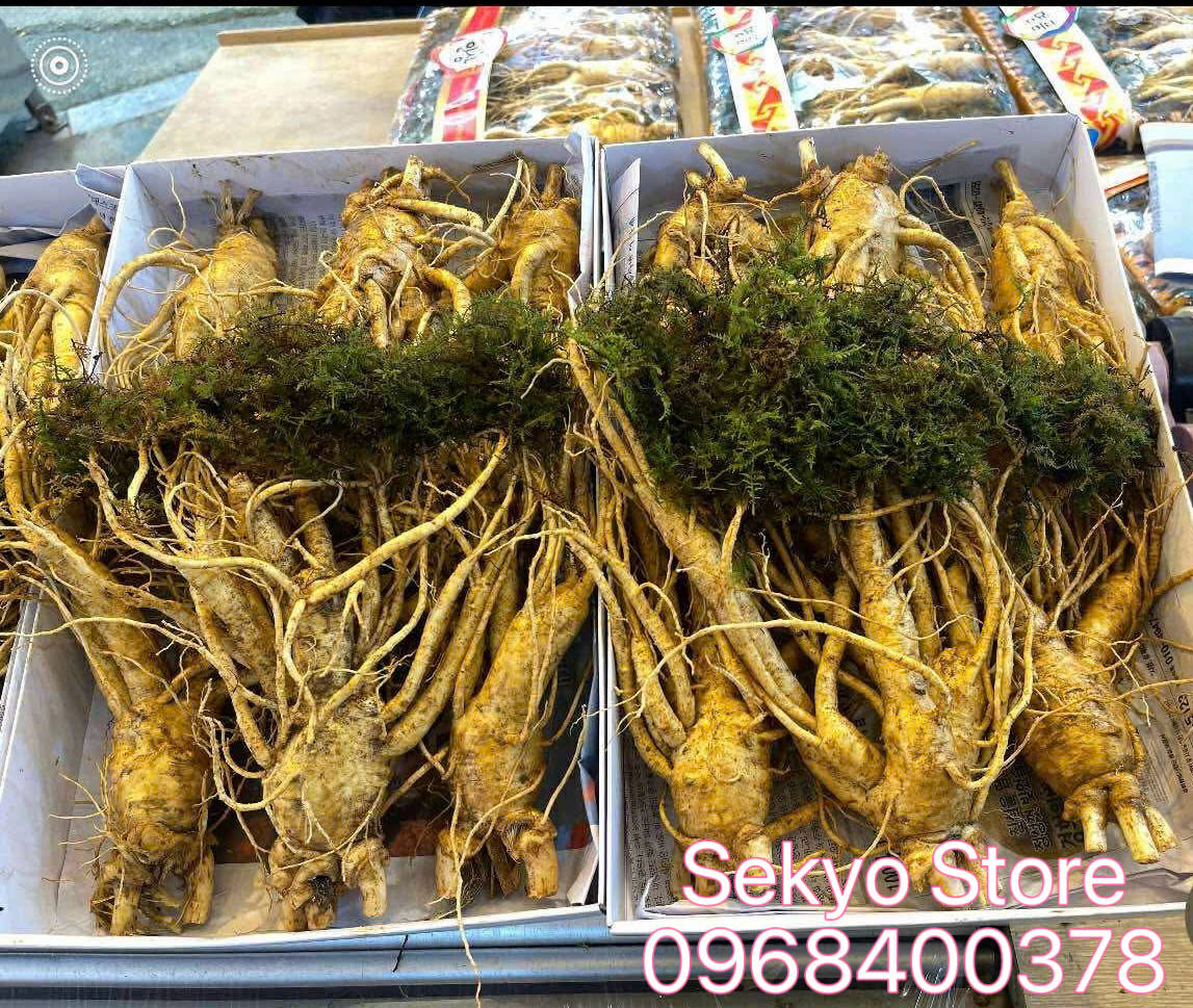 Sâm tươi Hàn Quốc thực tế - Hình 5