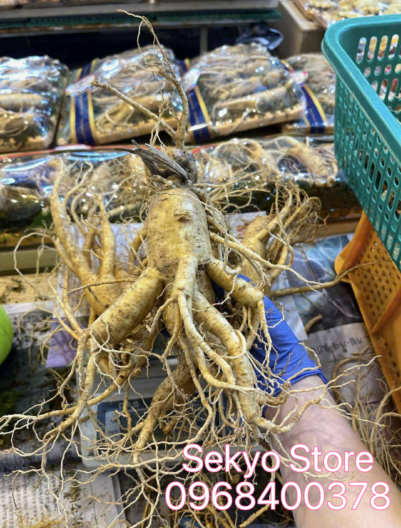 Sâm tươi Hàn Quốc thực tế - Hình 7