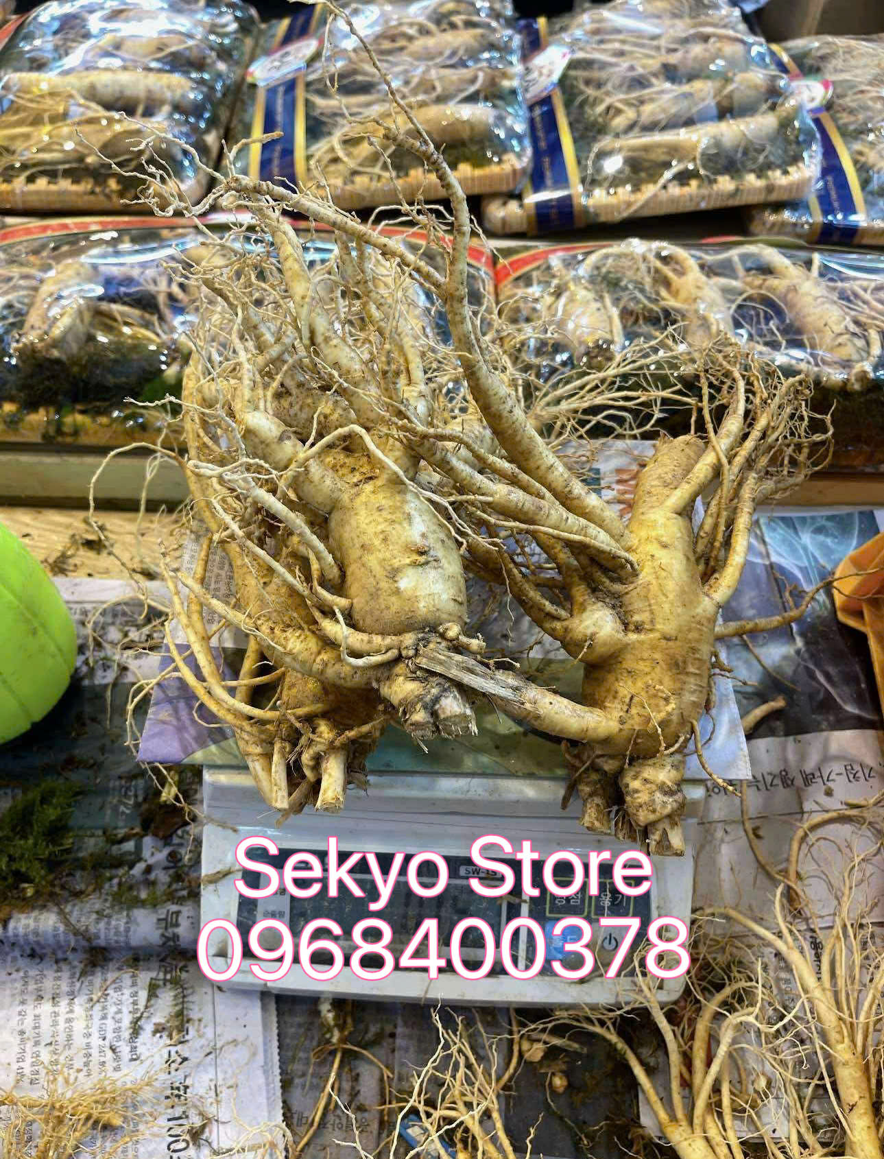 Sâm tươi Hàn Quốc thực tế - Hình 8