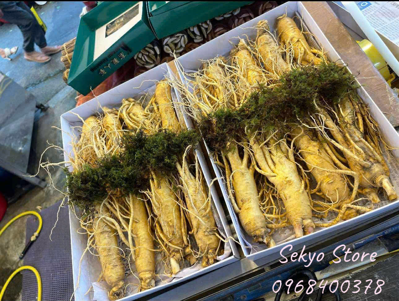 Sâm tươi Hàn Quốc thực tế - Hình 9